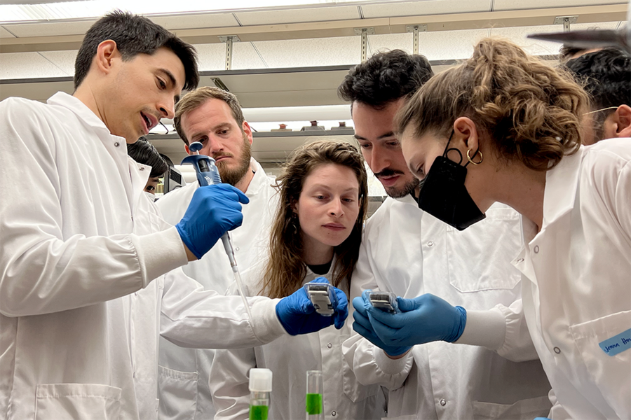 A global lab for teaching and practicing synthetic biology